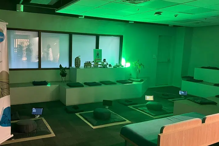 Meditação Guiada Ambientalizada — experiência Catividade