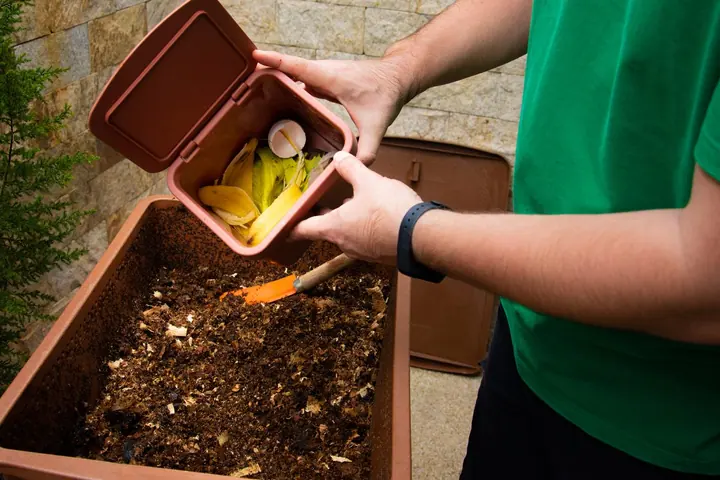 Oficina de Compostagem — experiência Catividade